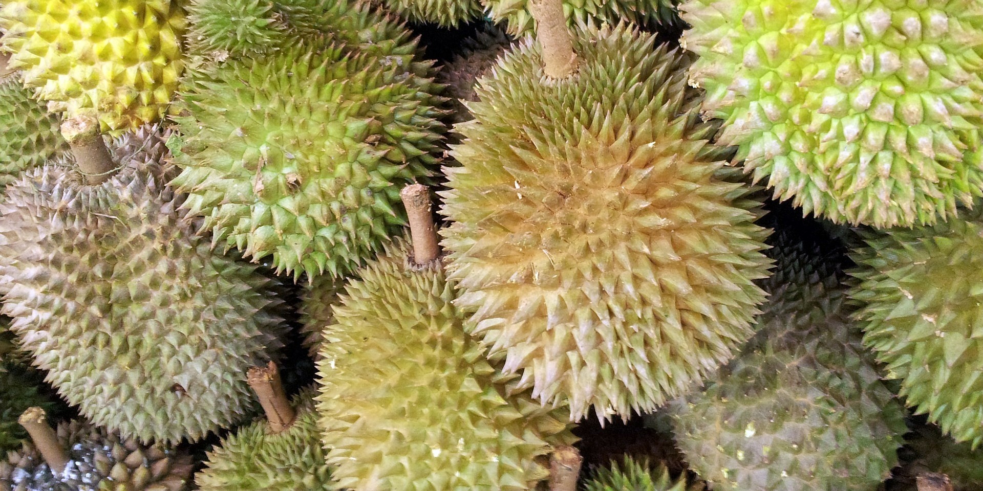 EVER WONDER WHAT’S INSIDE “THE BIG DURIAN”?