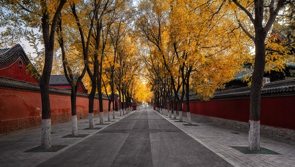 17 THINGS I WISH I KNEW BEFORE LIVING IN CHINA